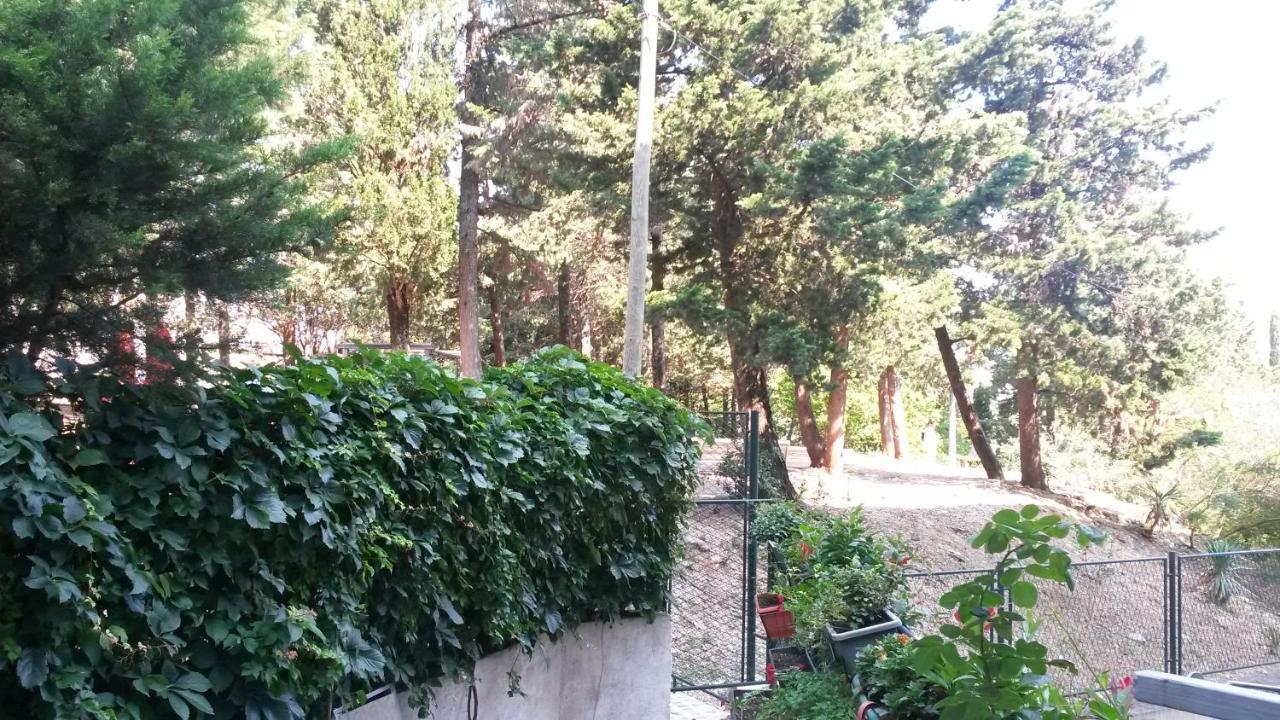 Anamarija Apartman Dubrovnik Exterior photo